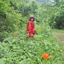 천반산길 이미지