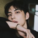 디