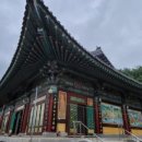 화은사 네이버블로그