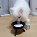 최정언산양목장 이미지