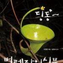 식물도감 이미지