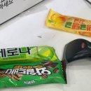 뉴탑학원 - 동작구 대방동27길 111 | D+365 & D-100