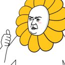 페리카나참이슬점
