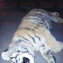 백두빌딩 이미지