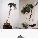 아틀리에 이미지