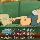 더덕먹은제주뚱돼지