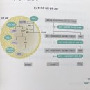 다이어트태권도장 이미지