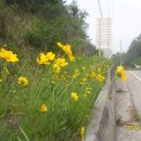 추곡농장 이미지