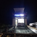 태안호스릴-38 | 서해 참돔 타이라바 배낚시 모항항 라온호