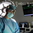 블레스동물메디컬센터 | 용인 중동 동물병원 24시블레스동물메디컬센터 진료시간 접근성 이용후기