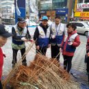 통일염원 나무심기 묘목 나눠주기 봉사활동. 사진 : 5매 이미지