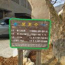 송삼