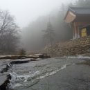 도림사계곡 이미지