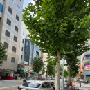 UR(대전광역시)-[월평북로]-상-1 | 대전 월평동 한식 맛집 촌놈밥상