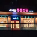 포시즌송도동물병원 네이버블로그