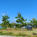 진안읍 1377 이미지