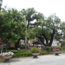 괴정1동-5 이미지