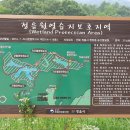 월영마을 이미지