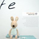 푸른원목 - 전주시 완산구 서서학동 | 푸른원목