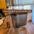 정수기나라 | 러시아 상트페테르부르크 석회수 대처법, 식수기와 간이정수기 병행 사용 후기