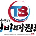 용인대태비태권도장&줄넘기교육관 네이버블로그