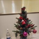 클린 케어(C.L.E.A.N. Care) 이미지