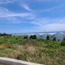 강정동-50 이미지