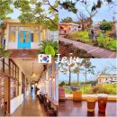 명월초등학교 | 제주 한림 카페 추천 명월국민학교 제주투어패스 아메리카노 무료