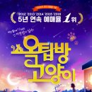 옥탑방 고양이 이미지