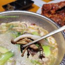 파동버섯칼국수 네이버블로그
