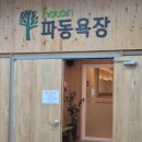 홀론 | [고창] 홀론온천 홀론면역 파동욕장 후기