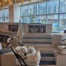 베스애견 | 강릉 세인트존스 호텔 애견동반 펫 더블룸