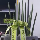 명성 합동 공인중개사사무소 이미지