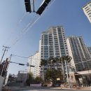 골든비치공인중개사사무소 이미지