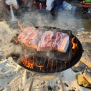 킹덤키즈-G | 봄방학 키즈 여행지 TOP10을 소개