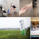 볏가리마을 이미지