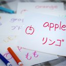 초급일본어배우기 이미지