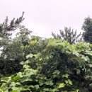 용호1동 체육공원 이미지