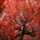 진양에너지 이미지