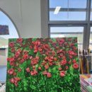 (주)디브레인 이미지