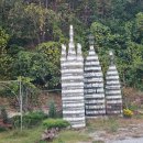 264 | [안동 여행] 도산서원 근처 필수 코스: 이육사 청포도 와인 '264 와이너리' 시음 후기