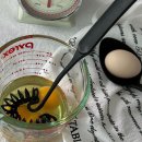 로플하우스 이미지