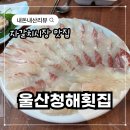 울산청해횟집;울산횟집 | [울산청해횟집] 부산 자갈치시장 광어회 맛집 내돈내산 솔직후기