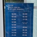 ✨ [강화도 몰입형 예술 극찬 후기] 8m 스크린 압도! 앉아서 편안하게 즐기는 별빛 고흐 미디어아트...