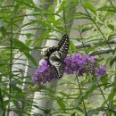 신씽놀이터 이미지