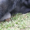 작은친구 이미지