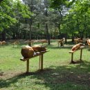 자연휴양림 관리사무소 이미지