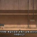 슈퍼독 이미지