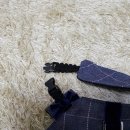 비담(비주얼 담당) | 강아지 하네스 (퍼피마망 병아리유치원 교복 구입후기) 부제:동네사람들~~@@!