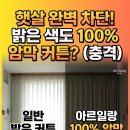 포근한세상 | 밝은 색도 100% 암막! 아르일랑 페이버릿 암막 커튼으로 완성하는 포근한 거실 인테리어 후기